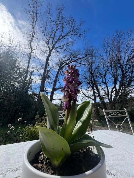 Villa Au Coeur De La Provence Evenos Zewnętrze zdjęcie
